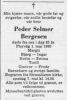 Peder Selmer Martin Bergesen