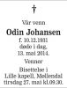 Odin Martin Johansen