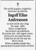 Ingolf Elias Andreassen